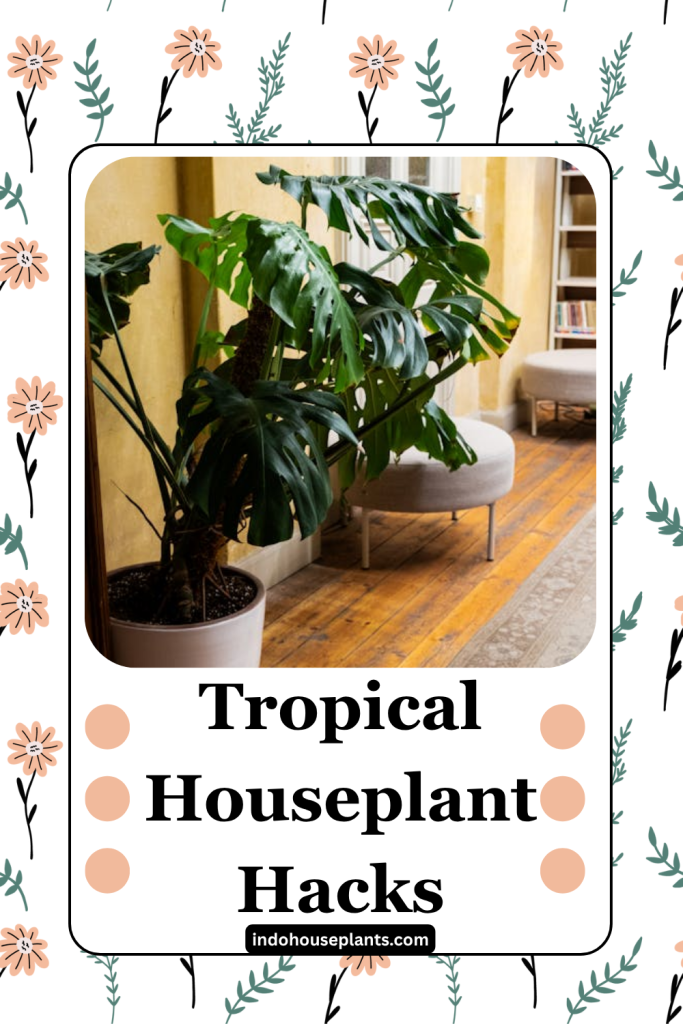 Tropical Houseplant Hacks: Easy Tips for Thriving Indoor Jungles