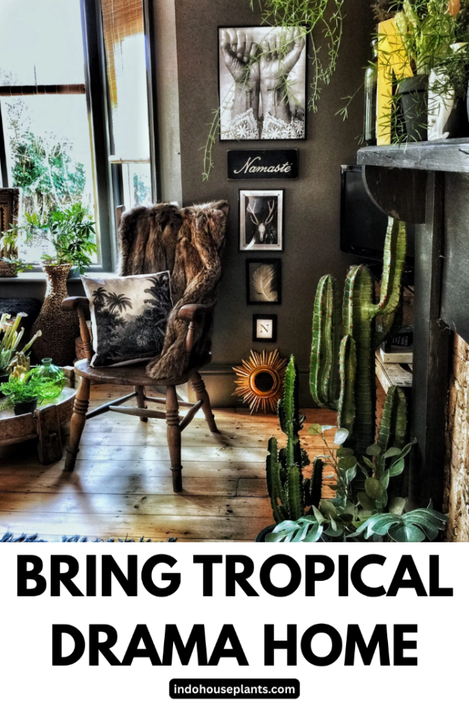 Bring Tropical Drama Home: Mastering Indoor Alpinia Styling